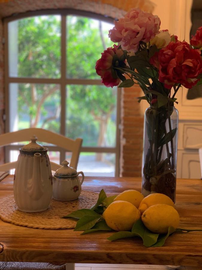 Il Giardino Dei Limoni Bed & Breakfast Suvereto Exterior photo
